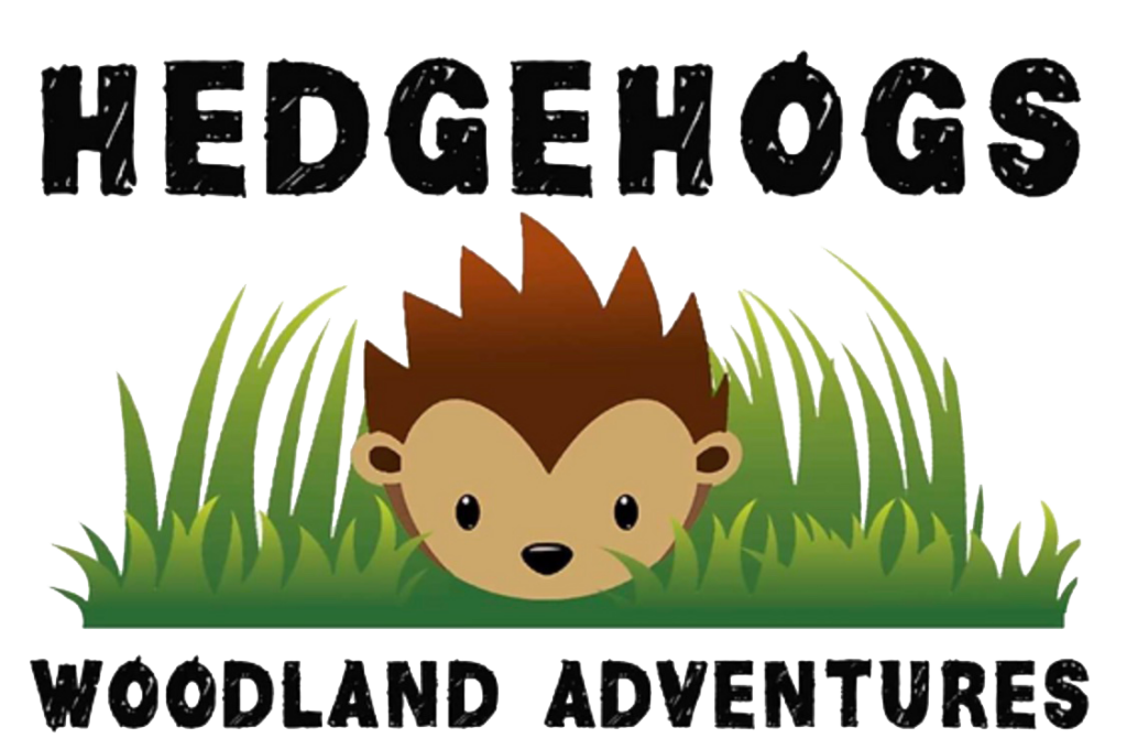 hedgehogs woodland adventure